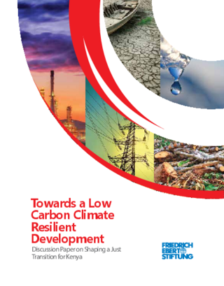 Towards a low carbon climate resilient development