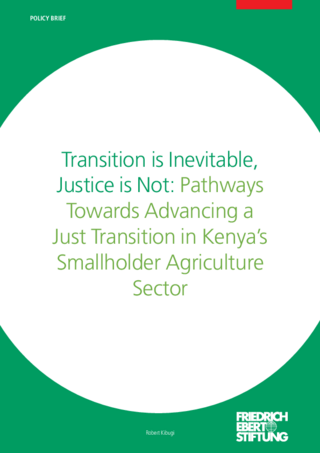 Transition is inevitable, justice is not